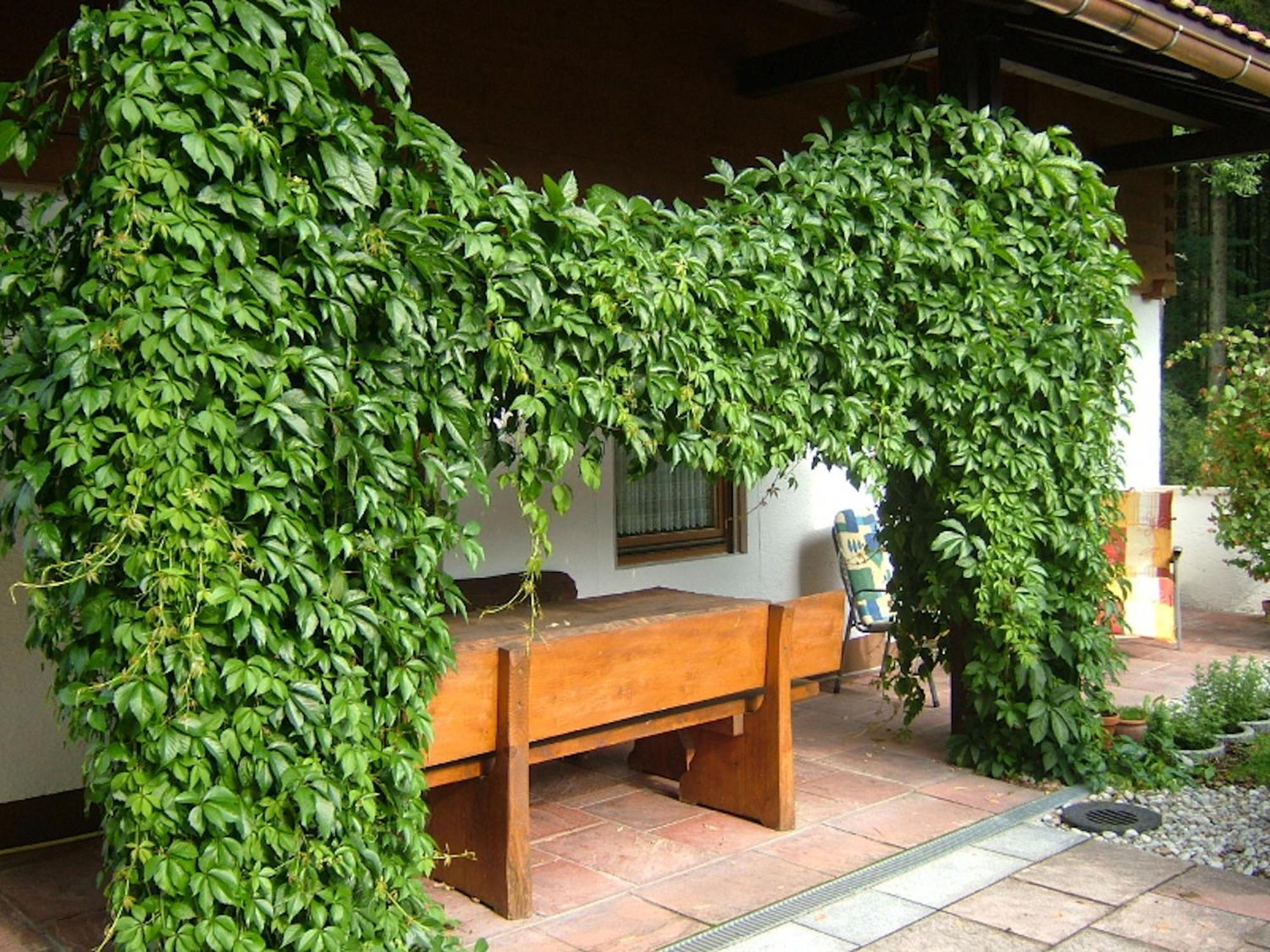 Haus Mayerbuechler - Chiemgau Karte Инцелль Экстерьер фото